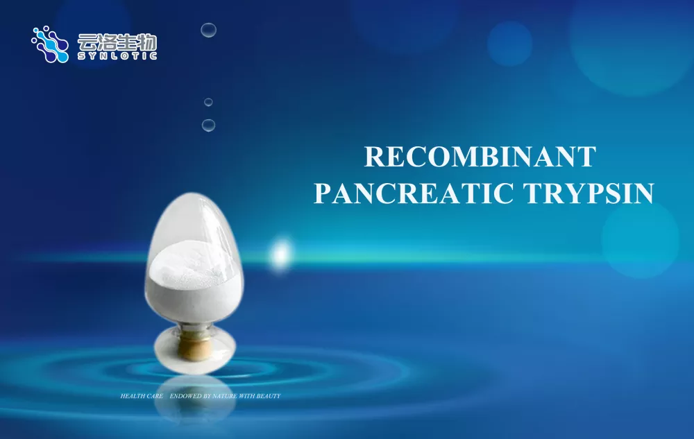 Какова роль ферментов?