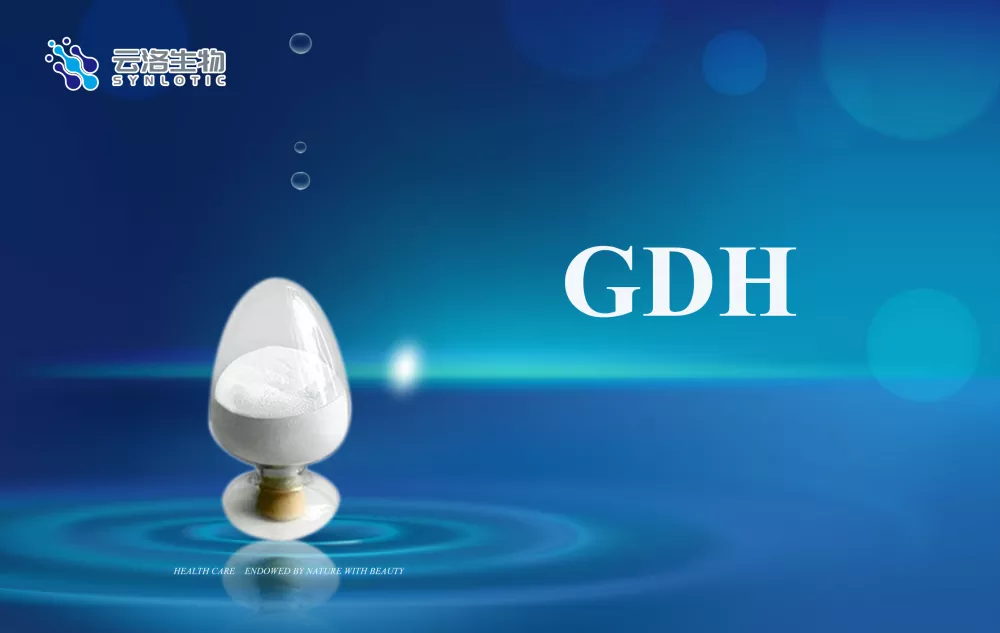 Каковы основные понятия ферментов?