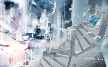 Выбор в пользу красоты: глубокая связь между косметикой и устойчивой жизнью